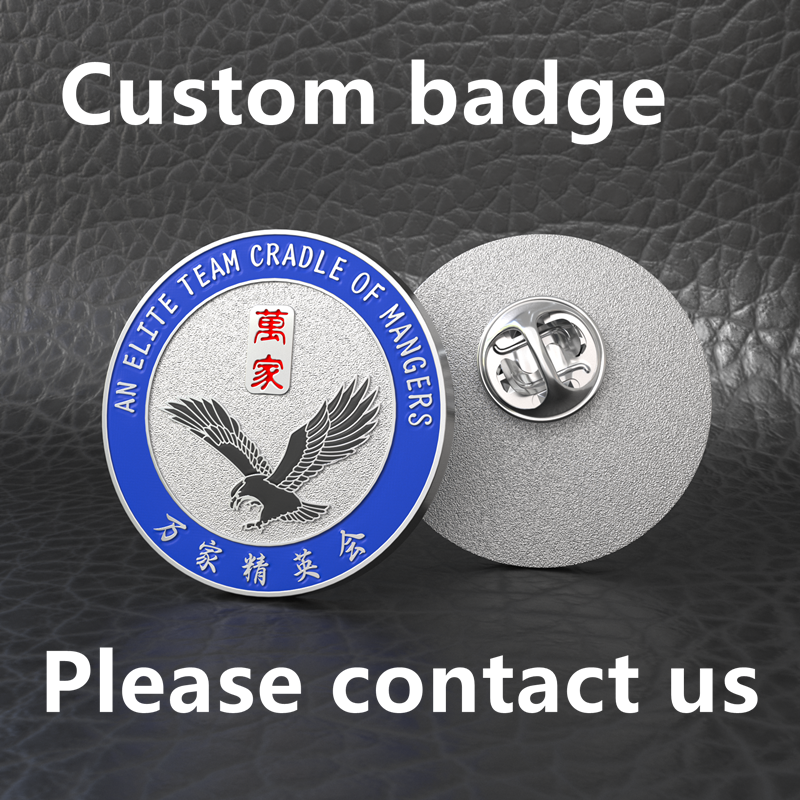 Custom Badge Customization， Eagle Enamel Painted Brooch， Elite Team Logo， Metal Enamel Lapel Pin， Medallion Backpack Accessories