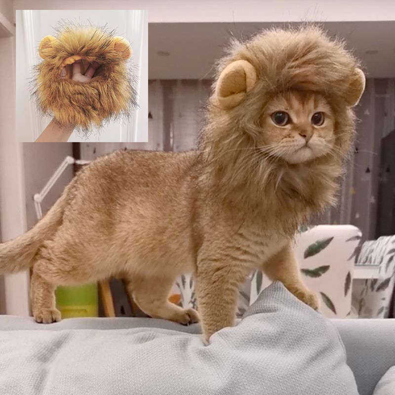 Cute Lion Mane Cat Wig Hat For Dogs And Cat Small Dog Pet Cat Decor Accessories Lion Wig Costume Fancy Hair Cap Pet Supplies