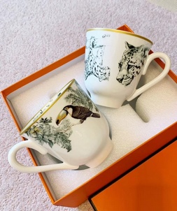 Fake replica hermes home carnets d’equateur